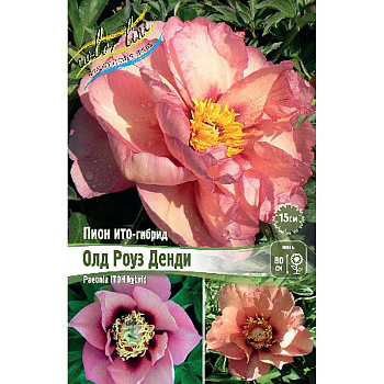Пион Ито-Гибрид Олд Роуз Денди 2/3 n 10 шт Биг-пак 9940 