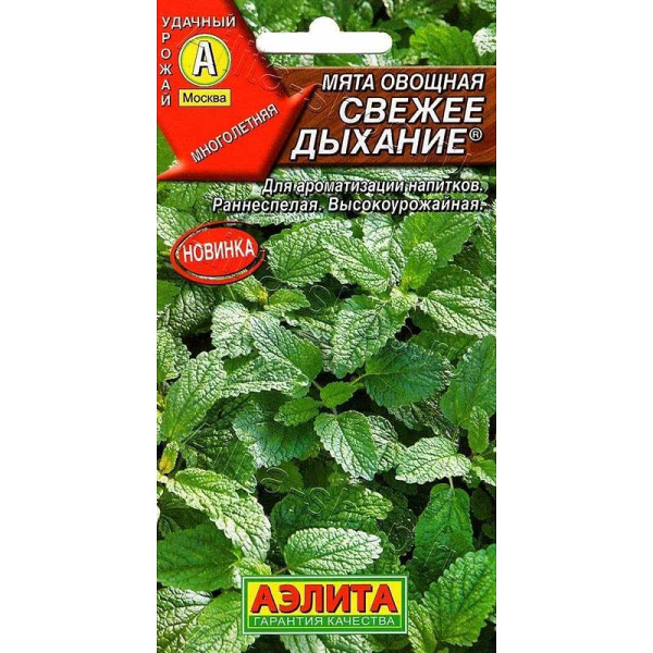 Мята Свежее дыхание Аэлита Ц