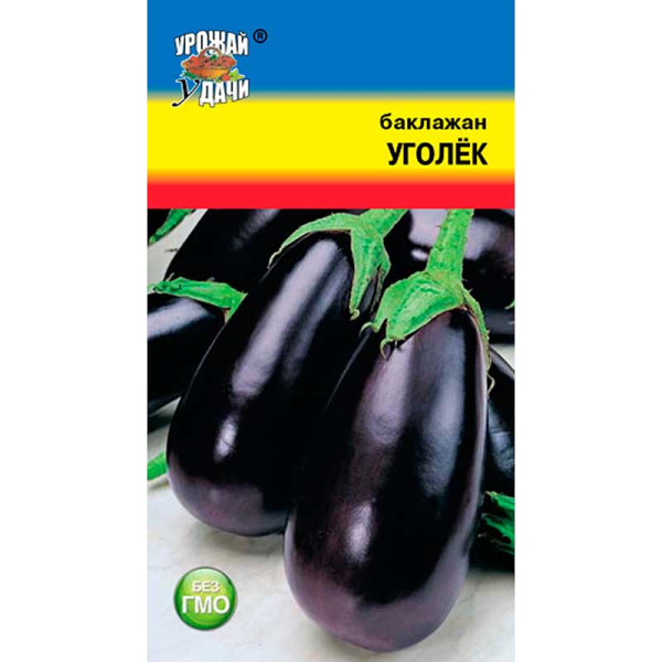 Баклажан Уголек Урожай у дачи Ц