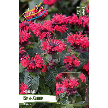 Монарда Бии-Хэппи I 25 шт Биг-Пак 13483