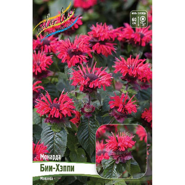 Монарда Бии-Хэппи I 25 шт Биг-Пак 13483