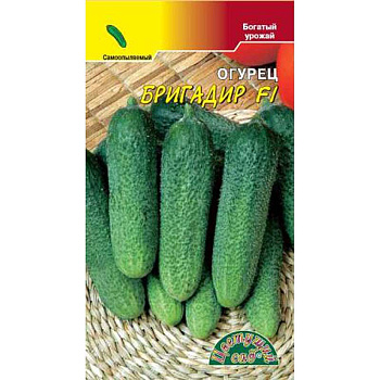 Огурец Бригадир ЦветСад Ц