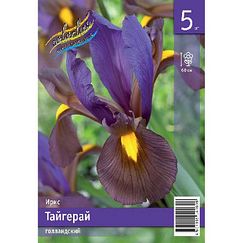 Ирис Голл. Тайгерай 7/8 5 Эконом шт 