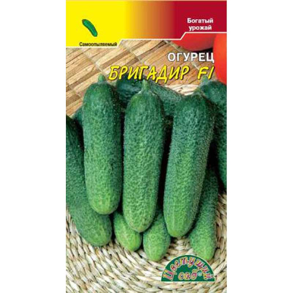 Огурец Бригадир ЦветСад Ц