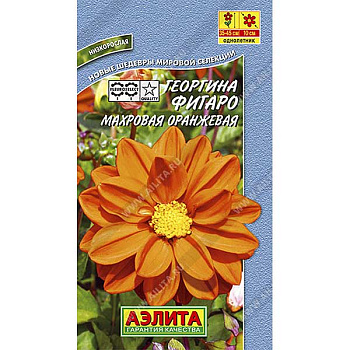 Георгин Фигаро оранж махр. Аэлита Ц 