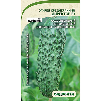 Огурец Директор F1 5шт Nunhems/Садовита Ц