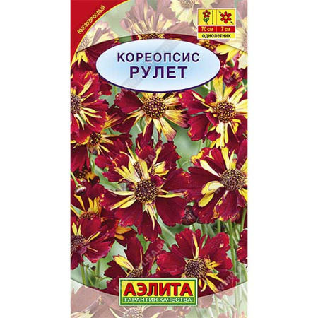 Кореопсис  Рулет Аэлита Ц 