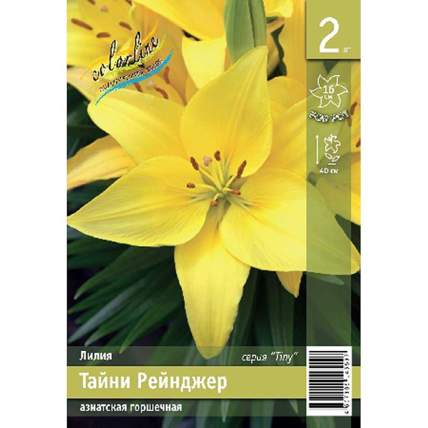 Лилия Тайни Рейнджер 10/12 2 Эконом шт 