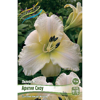 Лилейник Арктик Сноу I 1 шт 