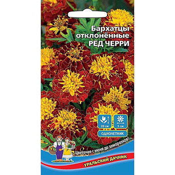 Бархатцы Ред Черри Марс Ц 