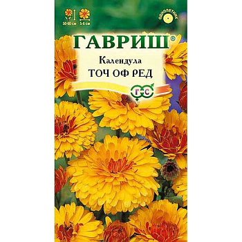 Календула Точ оф Ред Гавриш Ц 