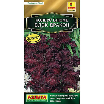 Колеус блюме Блэк дракон Аэлита Ц 