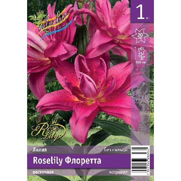 Лилия Roselily Флоретта 12/14 1 Эконом шт 