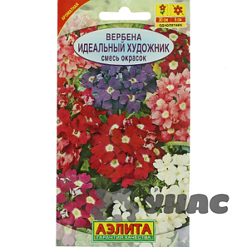 Вербена Идеальный Художник гибридная смесь окрасок Аэлита Ц 