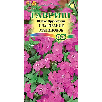 Флокс Друммонда Очарование малиновое Гавриш Ц 