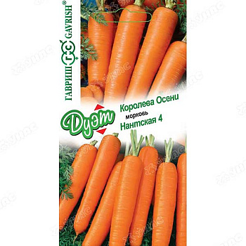 Морковь ДУЭТ Королева Осени+Нантская Гавриш Ц