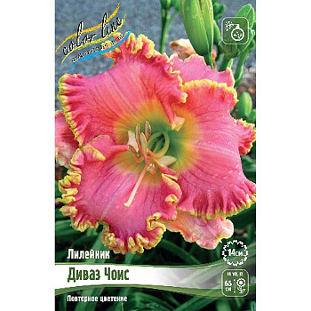 Лилейник Диваз Чоис I 25 шт Биг-пак 4166