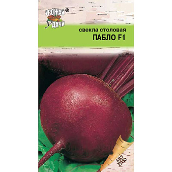 Свекла Пабло Урожай у дачи Ц
