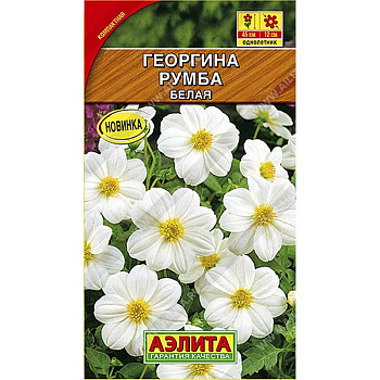 Георгин Румба белая Аэлита Ц 