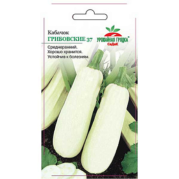 Кабачок Грибовский 37 Седек Ц
