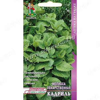 Мелисса Кадриль Поиск Ц