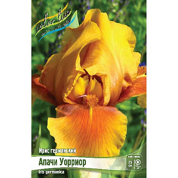 Ирис Германский Апачи Уорриор I 1 шт