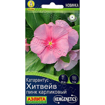 Катарантус Хитвейв пинк карликовый Аэлита Цх10 