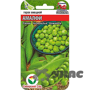 Горох Амалфи СибСад Ц