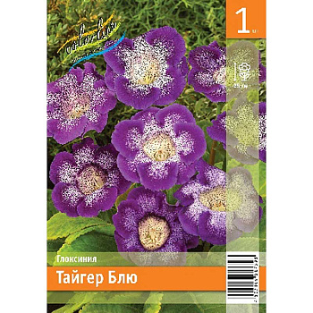Глоксиния Тайгер Блю 5/6 1 Эконом шт 
