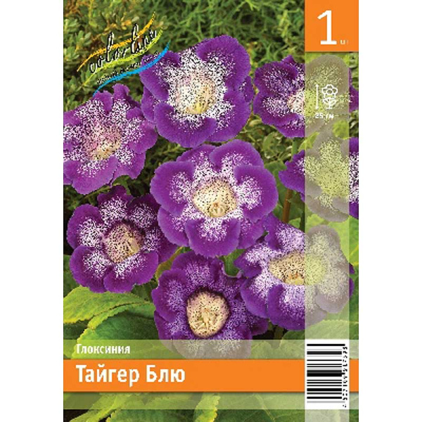 Глоксиния Тайгер Блю 5/6 1 Эконом шт 