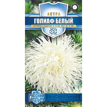 Астра Голиаф белый Гавриш Ц 