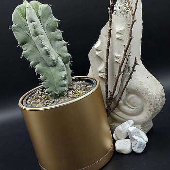 Горшок 0,90 л золотой 103/12.5-2 х16 