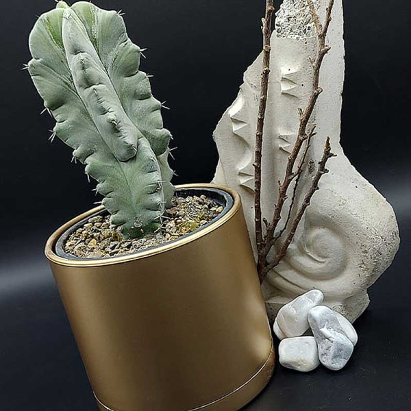 Горшок 0,90 л золотой 103/12.5-2 х16 