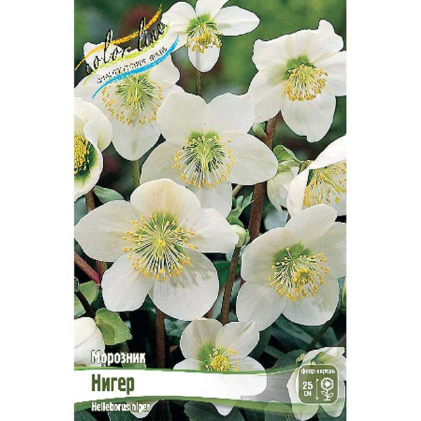 Морозник Нигер I 25 шт Биг-Пак 8155