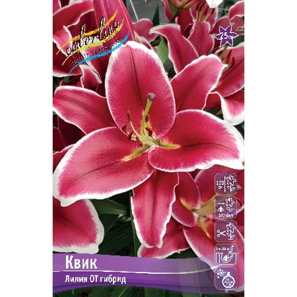 Биг-Пак Лилия Квик 12/14 25 шт