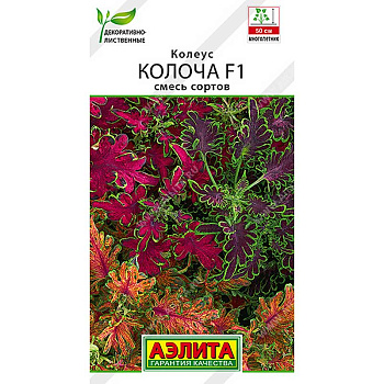 Колеус Колоча смесь Аэлита Цх10 