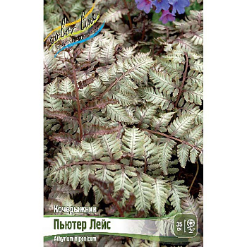 8249 Биг-Пак Кочедыжник Пьютер Лейс I 25 шт 