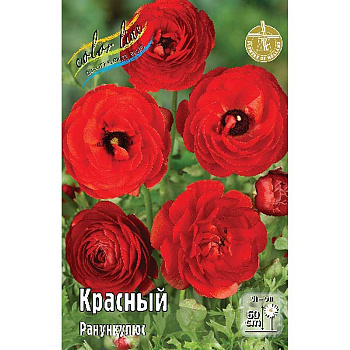 Ранункулюс Красный 6/7 10 шт