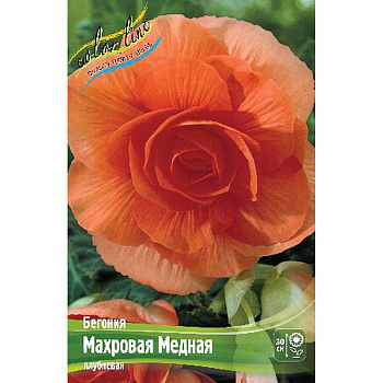 Бегония Махровая Медная 5/6 3 шт 