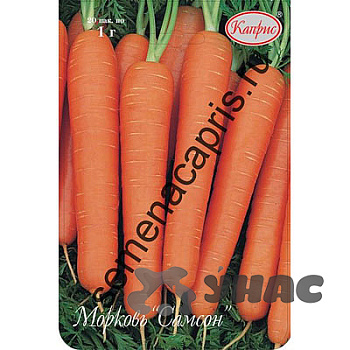 Морковь Самсон (Нидерланды) Каприс