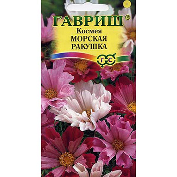 Космея Морская ракушка Гавриш Ц 