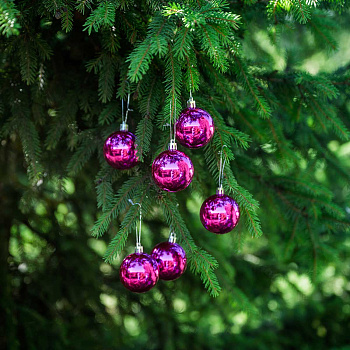 Шар Т173-6 6шт 6см (глянцевые) фуксия (120/140)