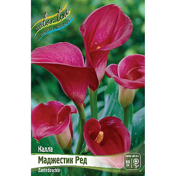 Калла Маджестик Ред 12/14 2 шт 