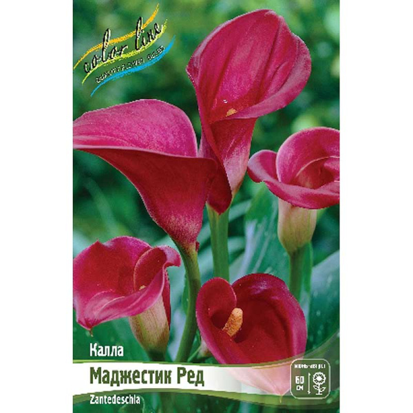 Калла Маджестик Ред 12/14 2 шт 