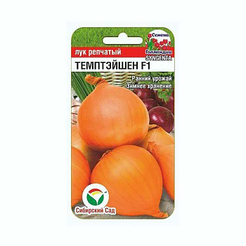 Лук Темптэйшен СибСад Ц