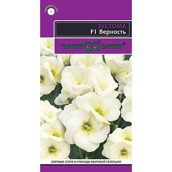 Эустома Верность Гавриш Цх10 