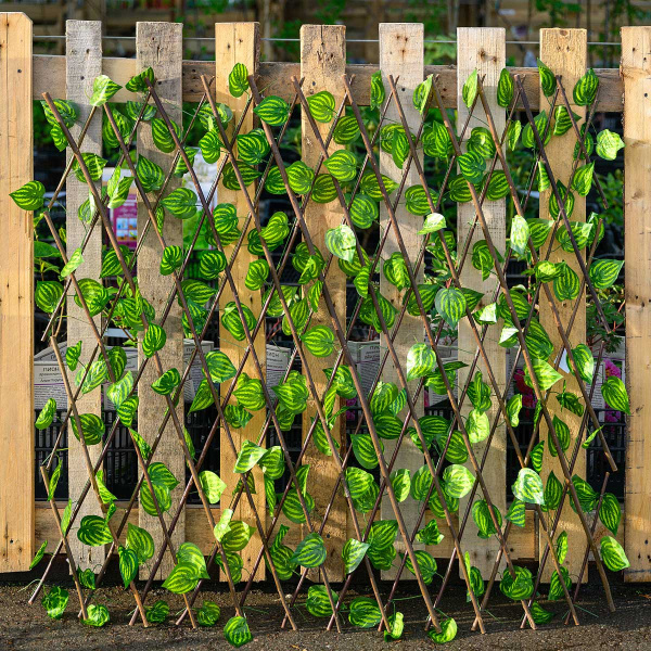 Раздвижная изгородь NA2654 большой лист 120*250 см (30)