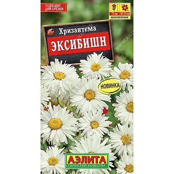 Хризантема Эксибишен Аэлита Ц 
