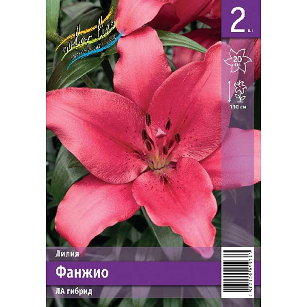 Лилия Фанжио 12/14 2 Эконом шт 