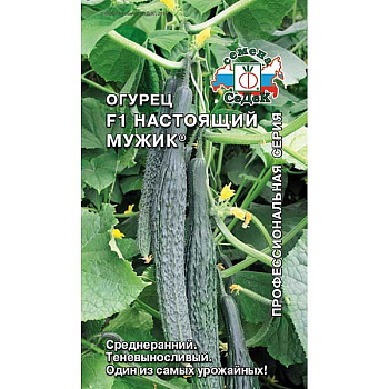 Огурец Настоящий Мужик Седек Ц